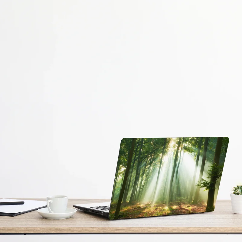 Naklejka na laptopa poranne światło w lesie