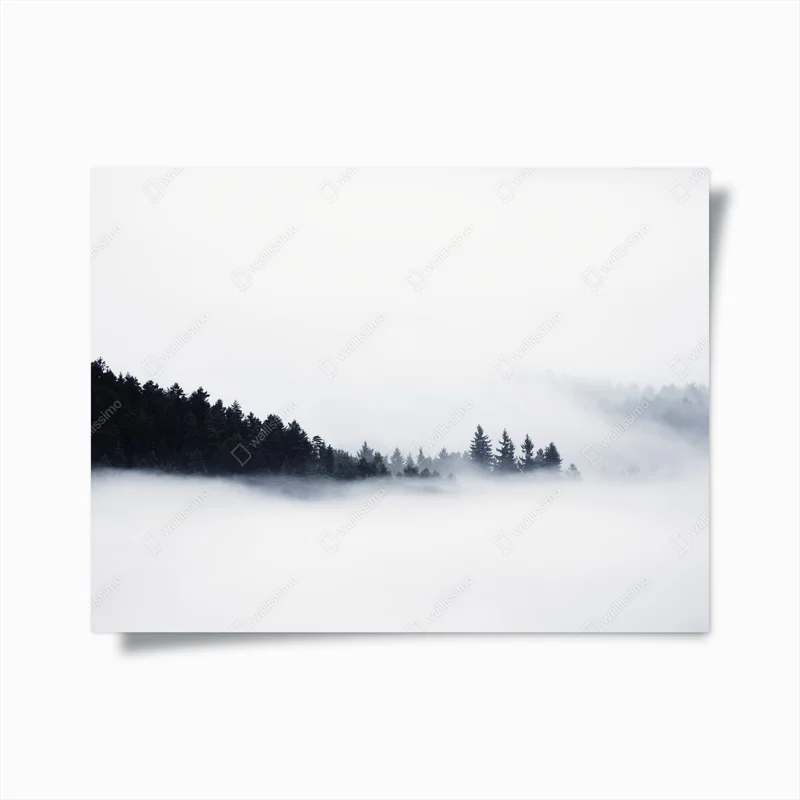 Poster herrlich schwerer Nebel in der Landschaft. herbstlicher, cremiger Nebel in der Landschaft. Hügel aus Nebel aufgestiegen, • Poster bei Wallnifity® Poster herrlich schwerer Nebel in der Landschaft. herbstlicher, cremiger Nebel in der Landschaft. Hügel aus Nebel aufgestiegen, • Poster bei Wallnifity®