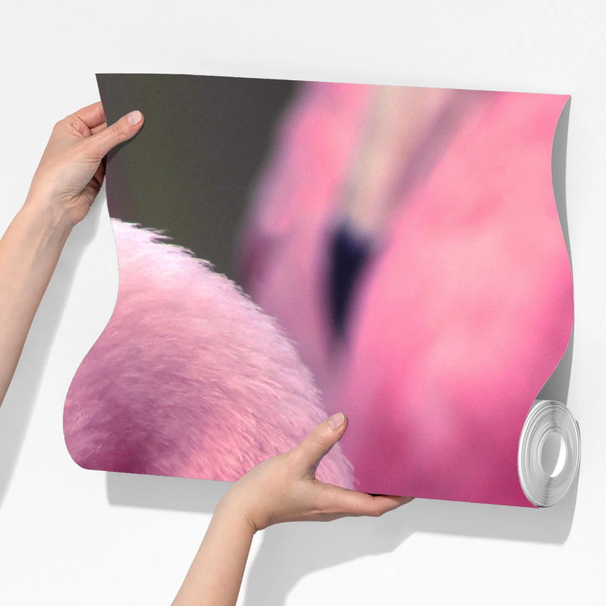 Fototapete rosa flamingo nahaufnahme Fototapete rosa flamingo nahaufnahme