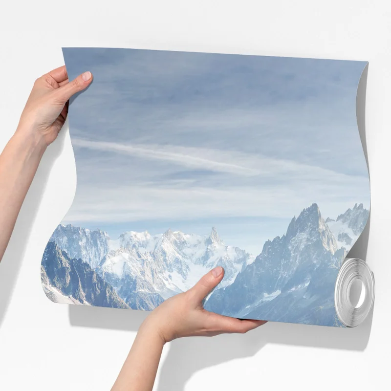 Fototapete alpine rhododendronwiese bei Mont Blanc Fototapete alpine rhododendronwiese bei Mont Blanc