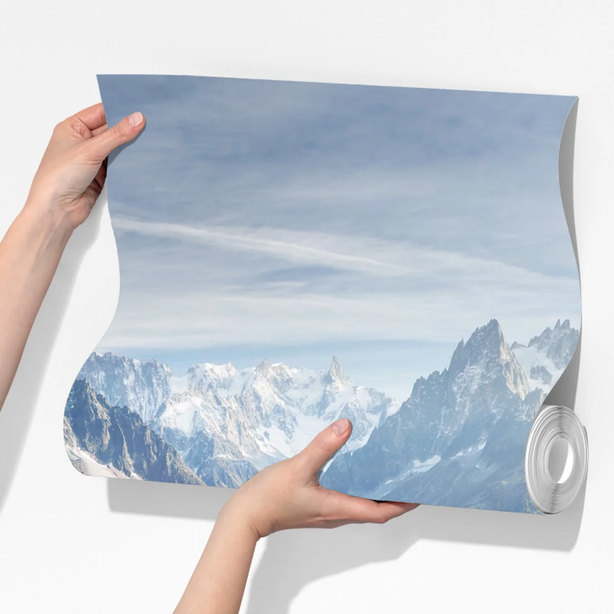 Fototapete alpine rhododendronwiese bei Mont Blanc Fototapete alpine rhododendronwiese bei Mont Blanc