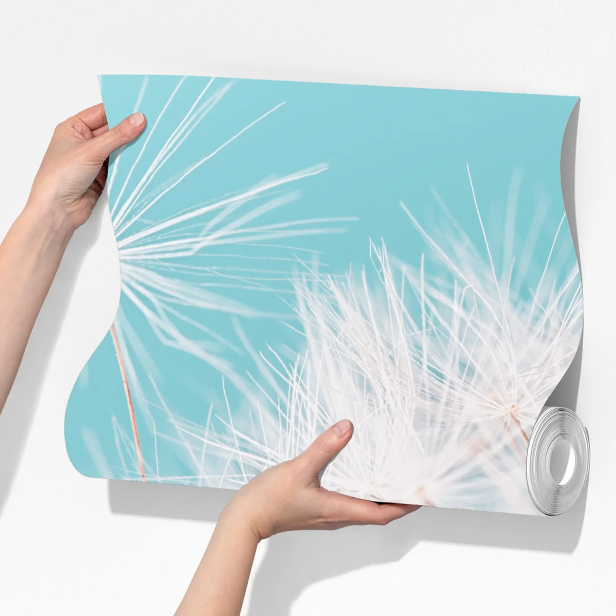 Fototapete zarter löwenzahn vor türkisfarbenem hintergrund Fototapete zarter löwenzahn vor türkisfarbenem hintergrund