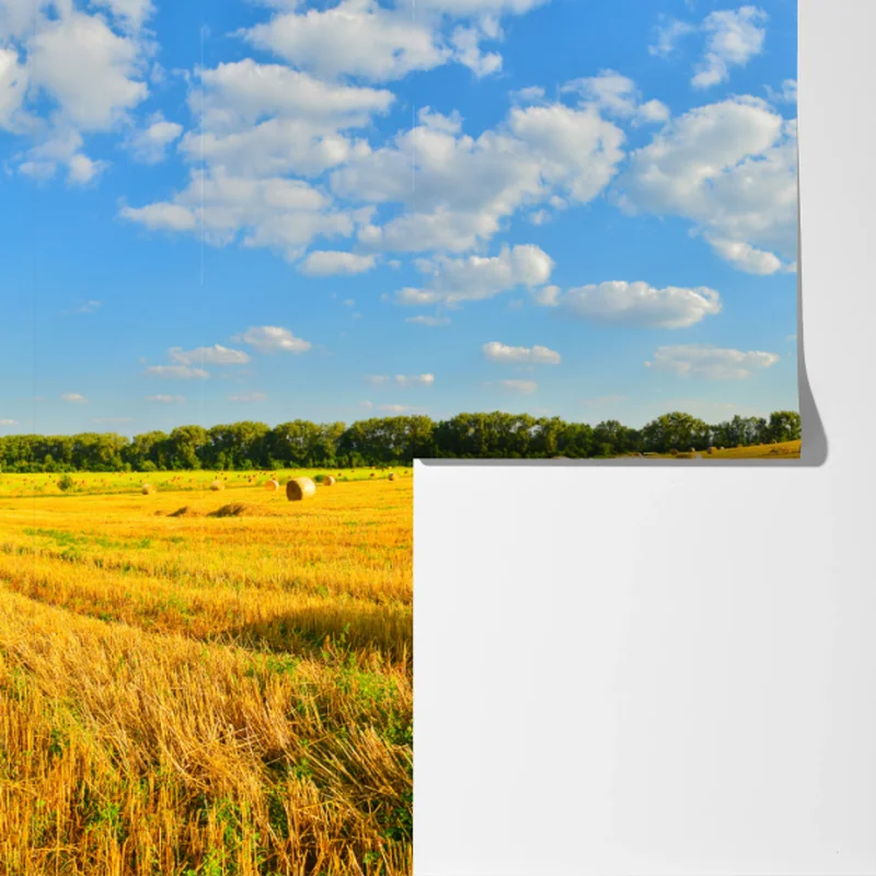 Fototapete goldenes heufeld unter blauem himmel Fototapete goldenes heufeld unter blauem himmel