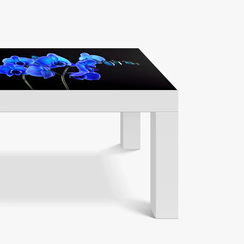 Tischaufkleber und Schreibtischaufkleber leuchtende blaue orchidee vor schwarzem hintergrund