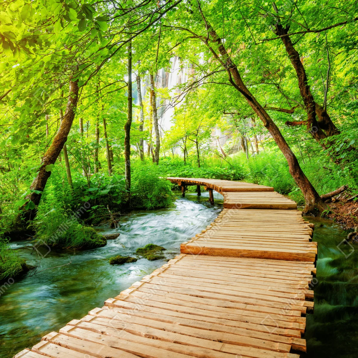 Fototapete holzsteg bei den Plitvicer Seen Fototapete holzsteg bei den Plitvicer Seen
