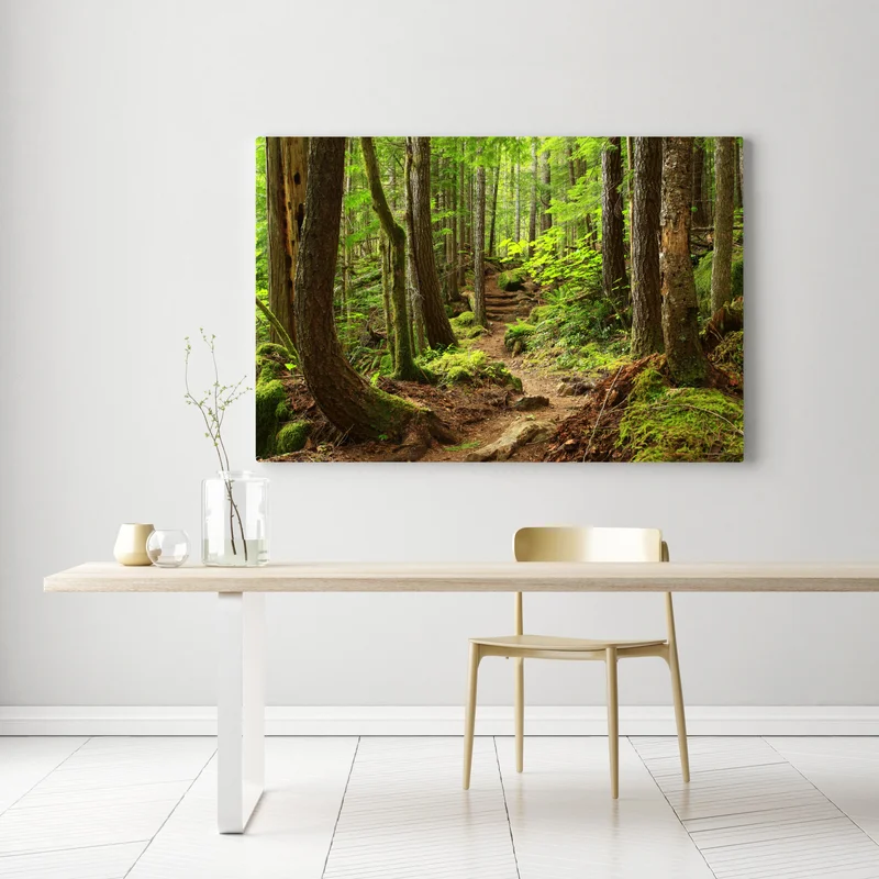 Leinwandbild moosiger waldpfad Leinwandbild moosiger waldpfad