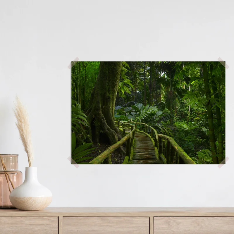 Poster ruhiger dschungelsteg durch üppigen regenwald Poster ruhiger dschungelsteg durch üppigen regenwald