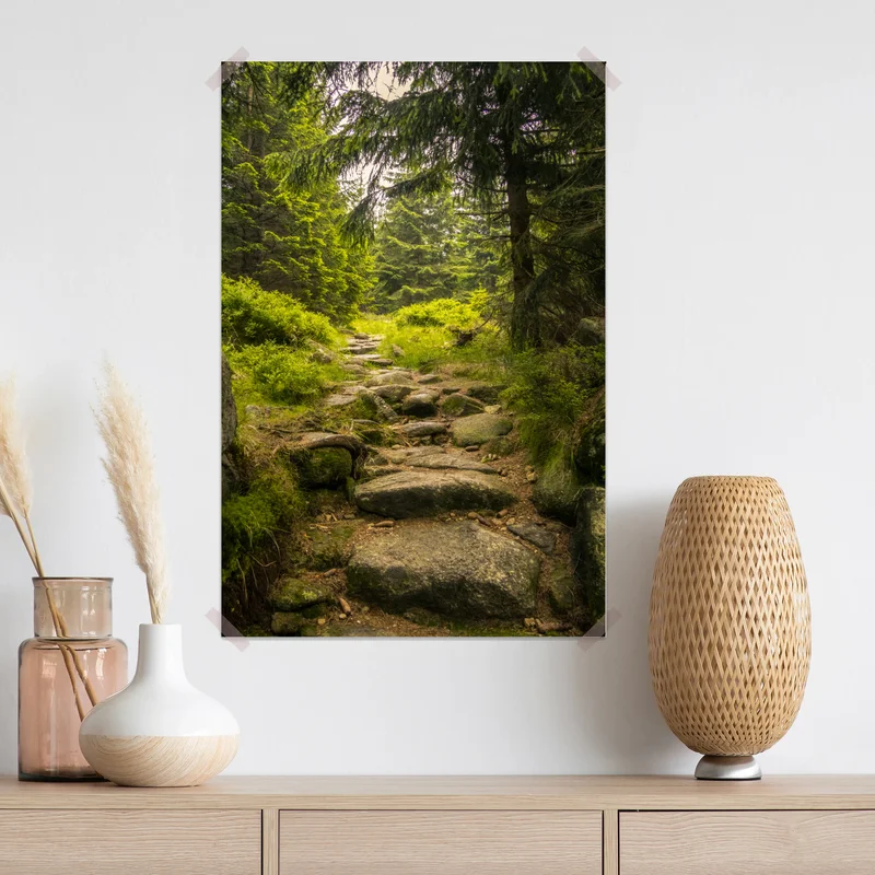 Poster ruhiger waldweg durch nadelwald Poster ruhiger waldweg durch nadelwald