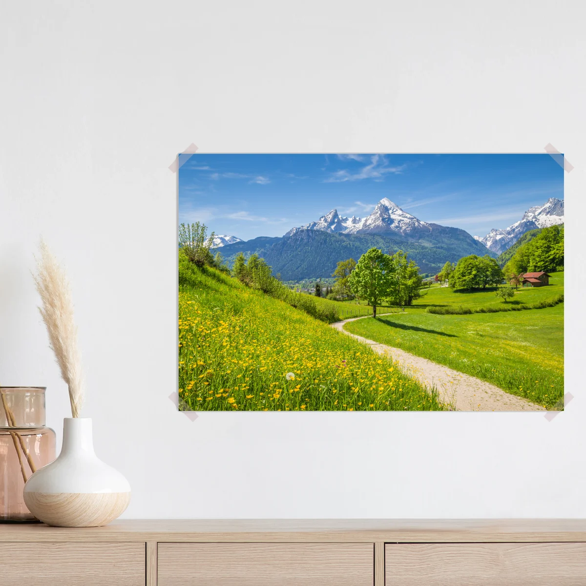 Poster alpine frühlingswiese mit schneebedeckten gipfeln Poster alpine frühlingswiese mit schneebedeckten gipfeln