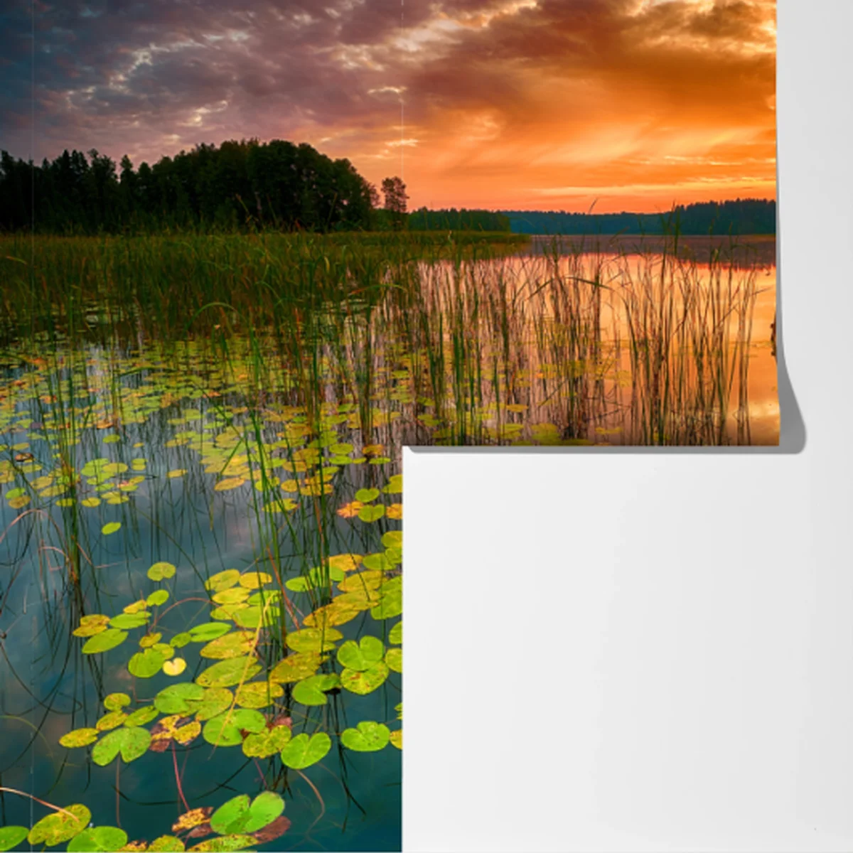 Fototapete sonnenaufgang über stillem see mit hölzernem steg Fototapete sonnenaufgang über stillem see mit hölzernem steg