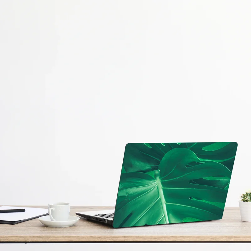 Naklejka na laptopa bujny liść monstery zbliżenie