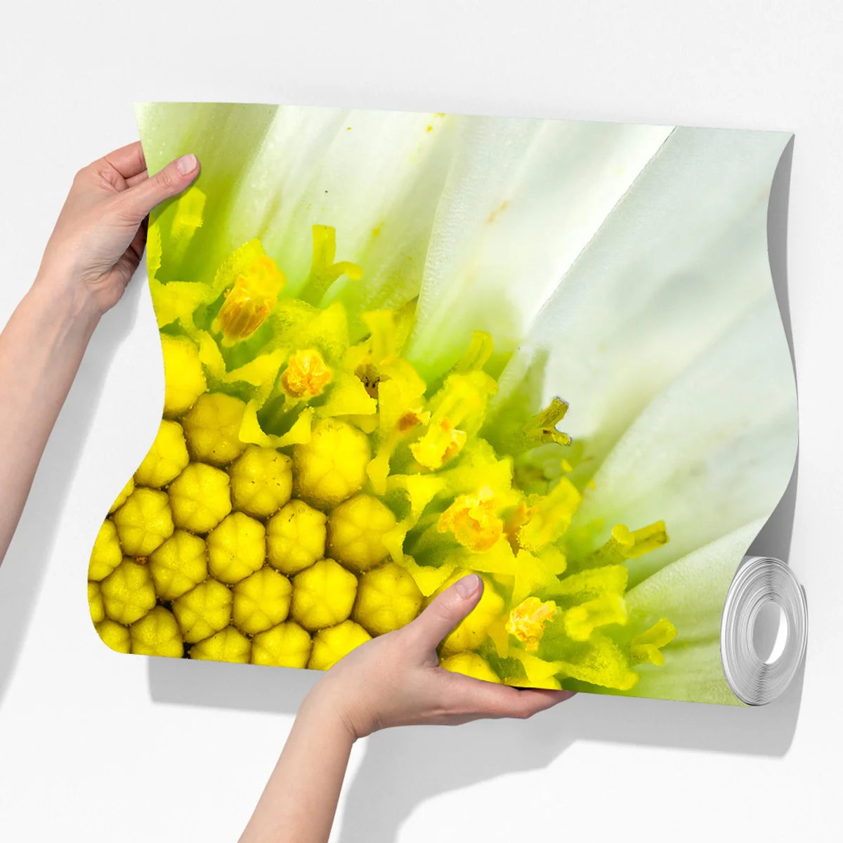 Fototapeta makro stokrotki w spiralnym wzorze Fototapeta makro stokrotki w spiralnym wzorze