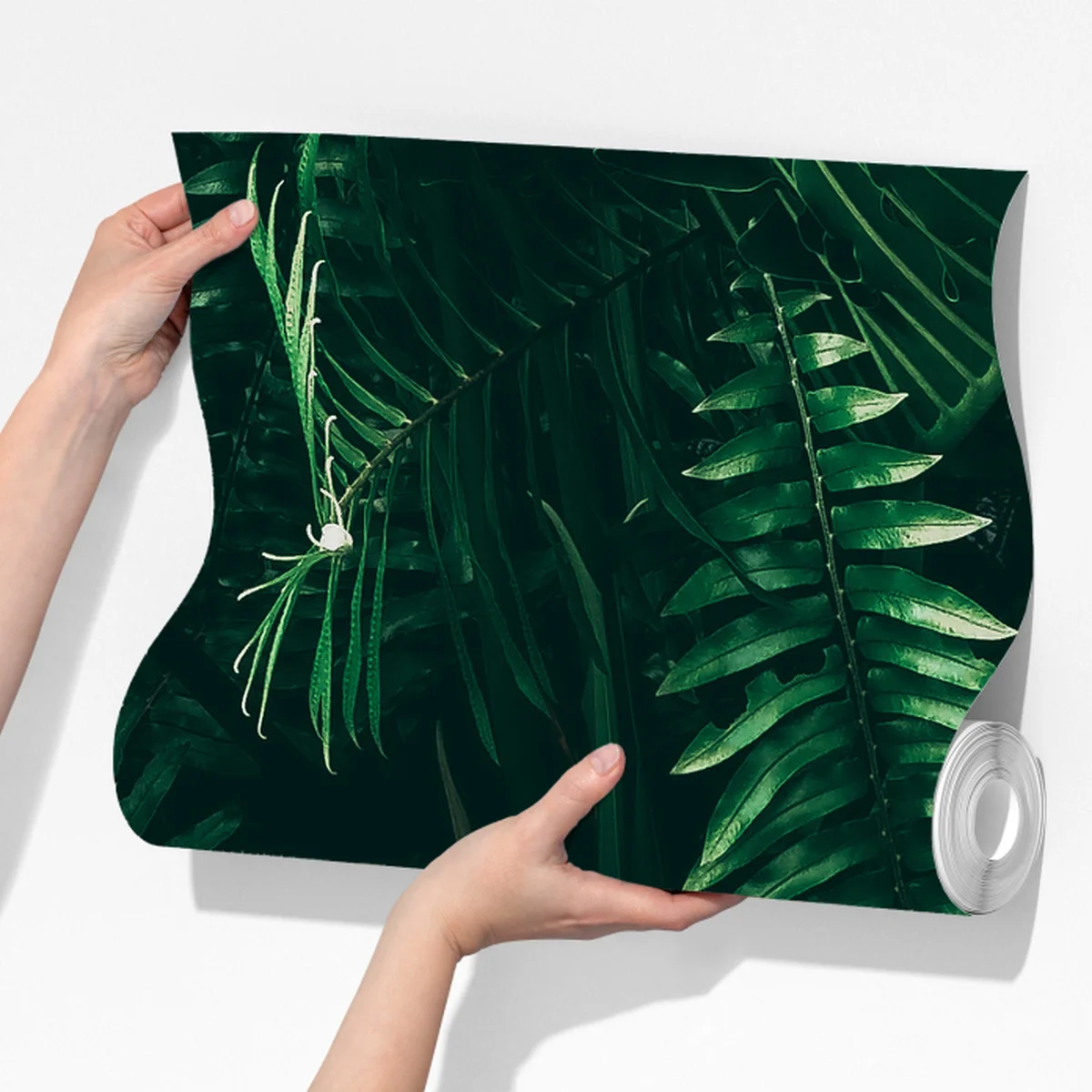 Fototapete üppige tropische grüne blätter Fototapete üppige tropische grüne blätter