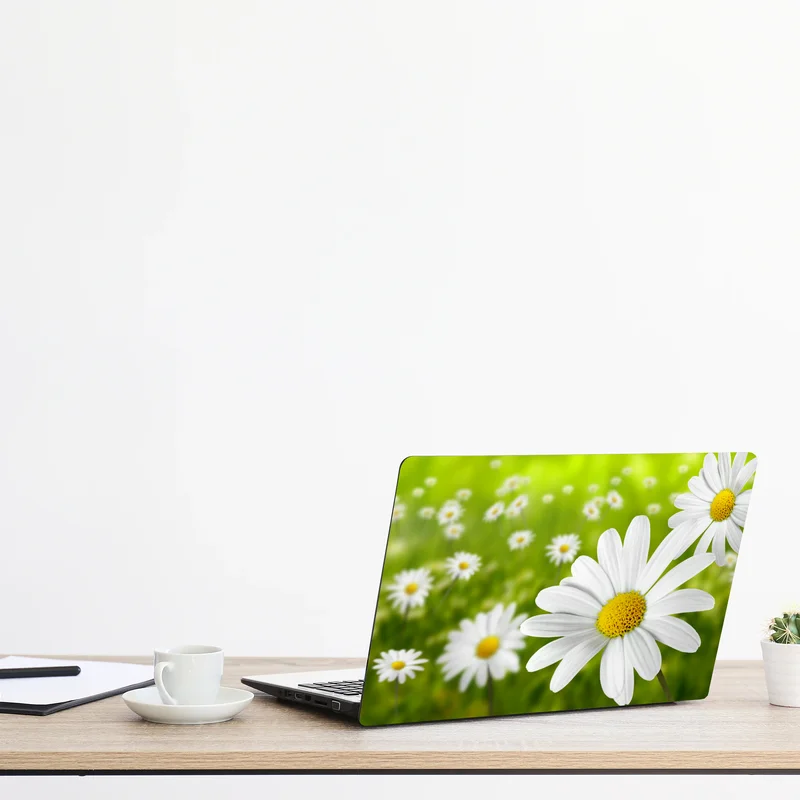 Naklejka na laptopa białe stokrotki na łące