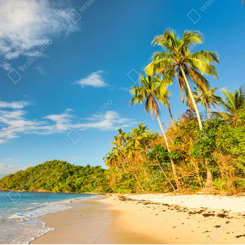 Türaufkleber goldener tropischer strand bei sonnenuntergang Türaufkleber goldener tropischer strand bei sonnenuntergang