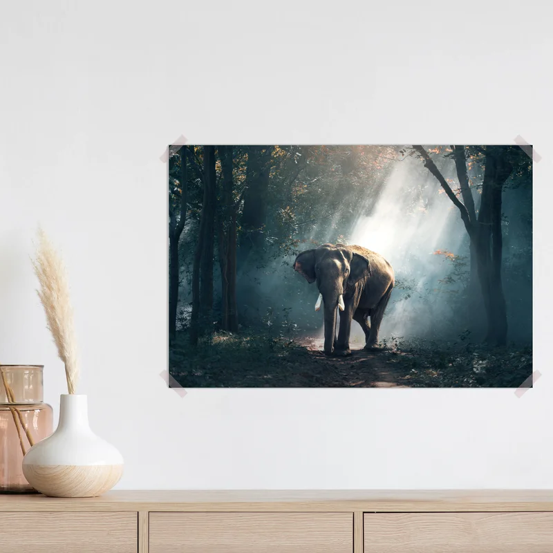 Poster majestätischer elefant im sonnenlichtdurchfluteten wald Poster majestätischer elefant im sonnenlichtdurchfluteten wald