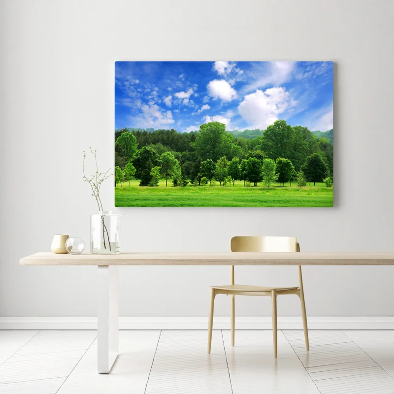 Leinwandbild sommerlicher grüner wald unter blauem himmel Leinwandbild sommerlicher grüner wald unter blauem himmel