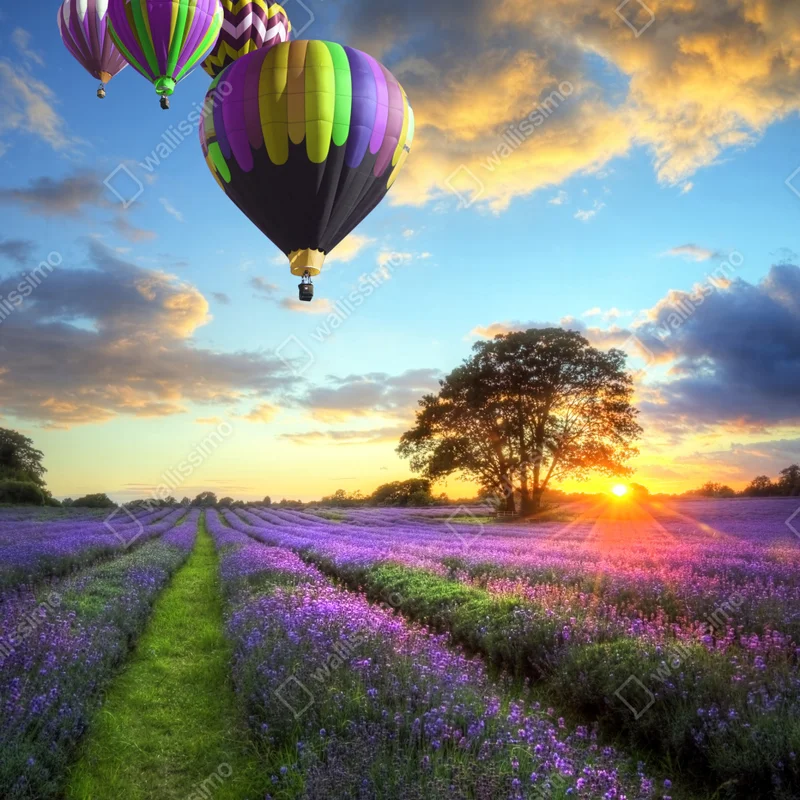 Repositionierbarer Aufkleber lavendersonnenuntergang mit bunten heißluftballons Repositionierbarer Aufkleber lavendersonnenuntergang mit bunten heißluftballons