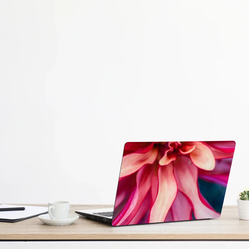 Laptop-Aufkleber vibrantes rosa blütenmakro