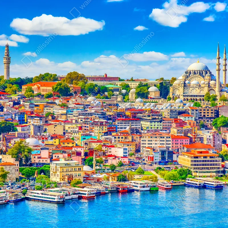 Türaufkleber goldene magnolie auf türkisfarbenem hintergrund Türaufkleber goldene magnolie auf türkisfarbenem hintergrund