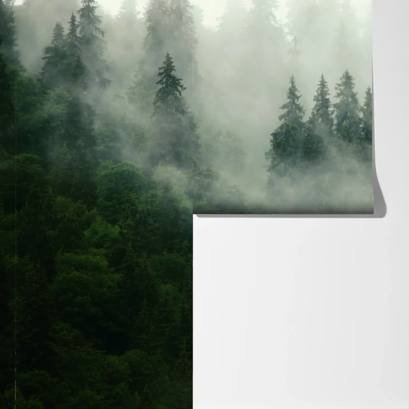 Fototapeta mglisty iglasty las Fototapeta mglisty iglasty las