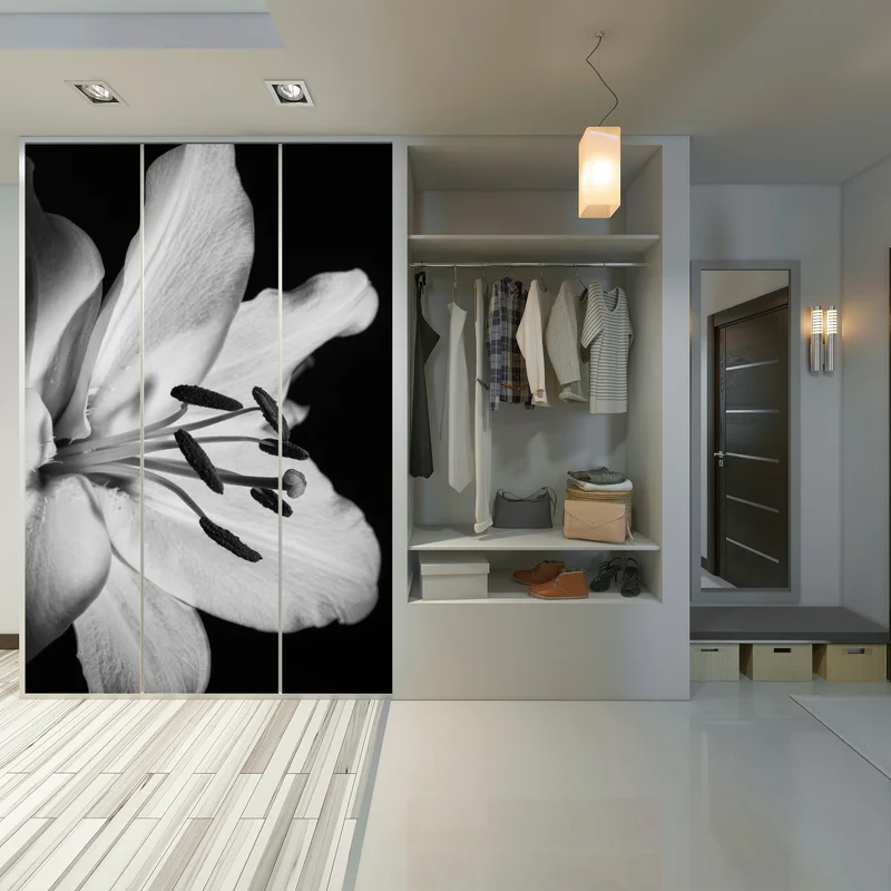 Schrankaufkleber monochrome lilie nahaufnahme Schrankaufkleber monochrome lilie nahaufnahme