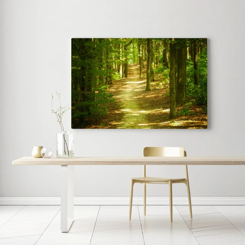 Leinwandbild sonniger waldpfad Leinwandbild sonniger waldpfad