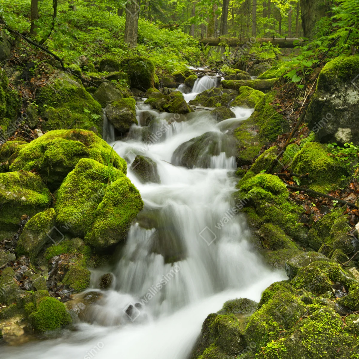 Türaufkleber moosiger wasserfall Türaufkleber moosiger wasserfall
