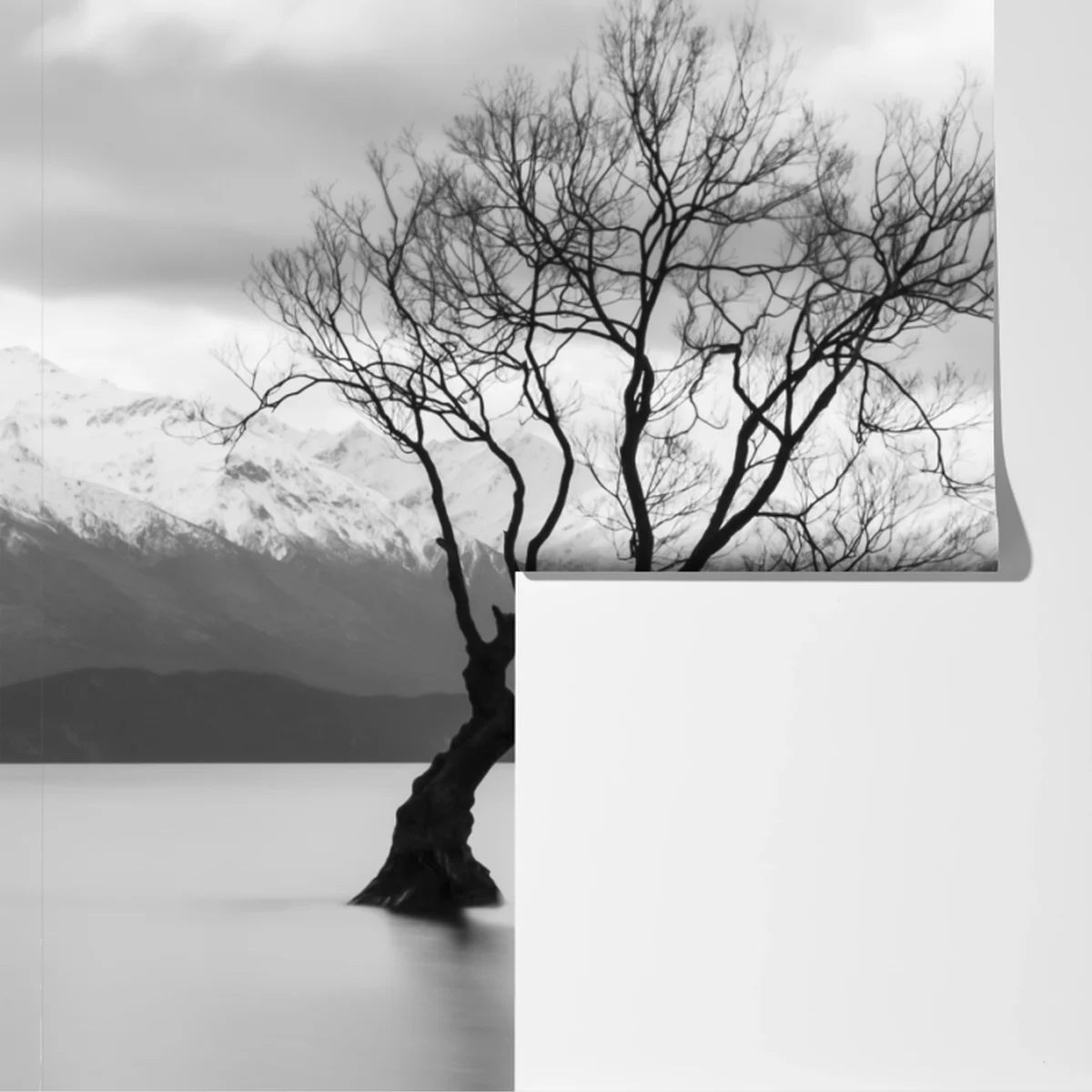 Fototapeta samotne drzewo na jeziorze Fototapeta samotne drzewo na jeziorze