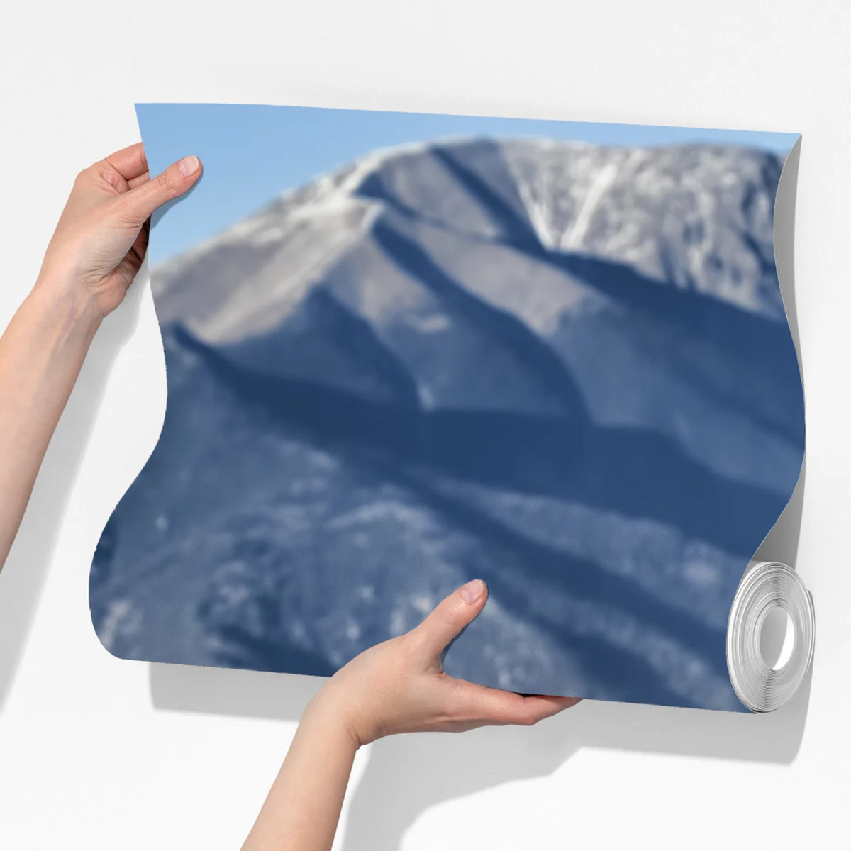 Fototapete wilde pferde galoppieren auf gebirgswiese Fototapete wilde pferde galoppieren auf gebirgswiese