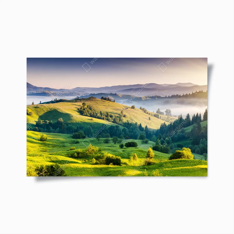 Poster Sonnenuntergang in den Karpaten über sanften grünen Hügeln • Poster bei Wallnifity® Poster Sonnenuntergang in den Karpaten über sanften grünen Hügeln • Poster bei Wallnifity®