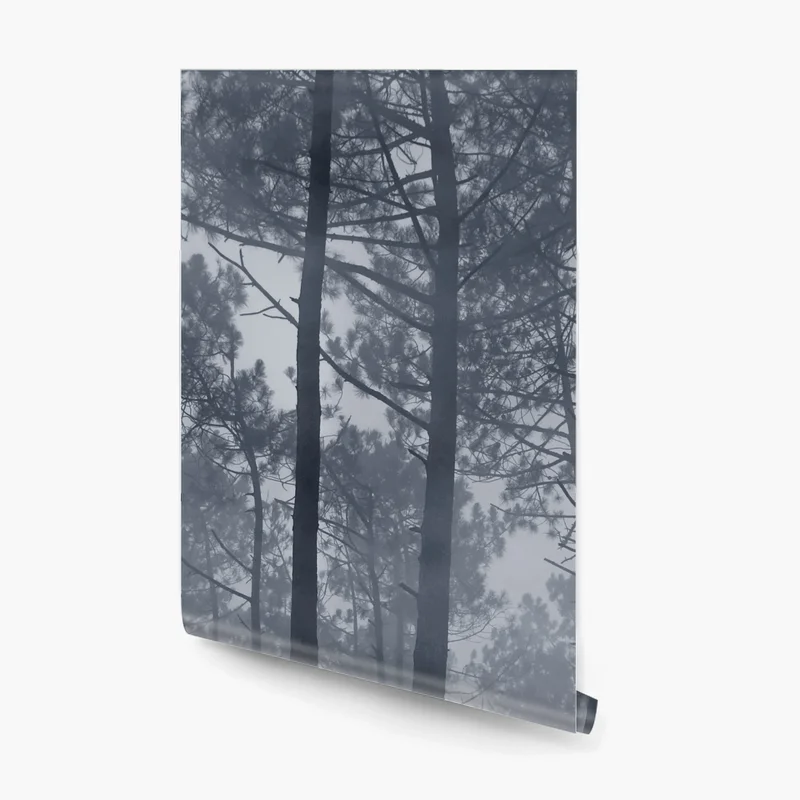 Fototapeta mglisty sosnowy las nocą Fototapeta mglisty sosnowy las nocą