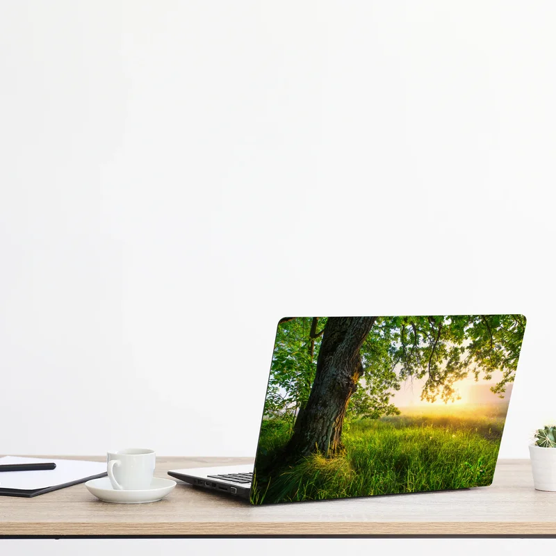 Naklejka na laptopa poranny dąb na rozświetlonej łące