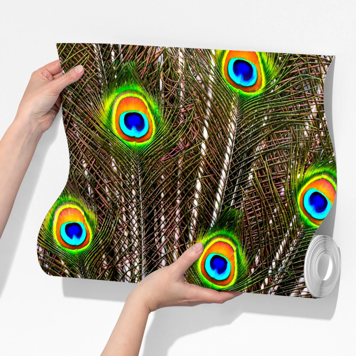 Fototapete leuchtender fächer aus pfauenfedern Fototapete leuchtender fächer aus pfauenfedern