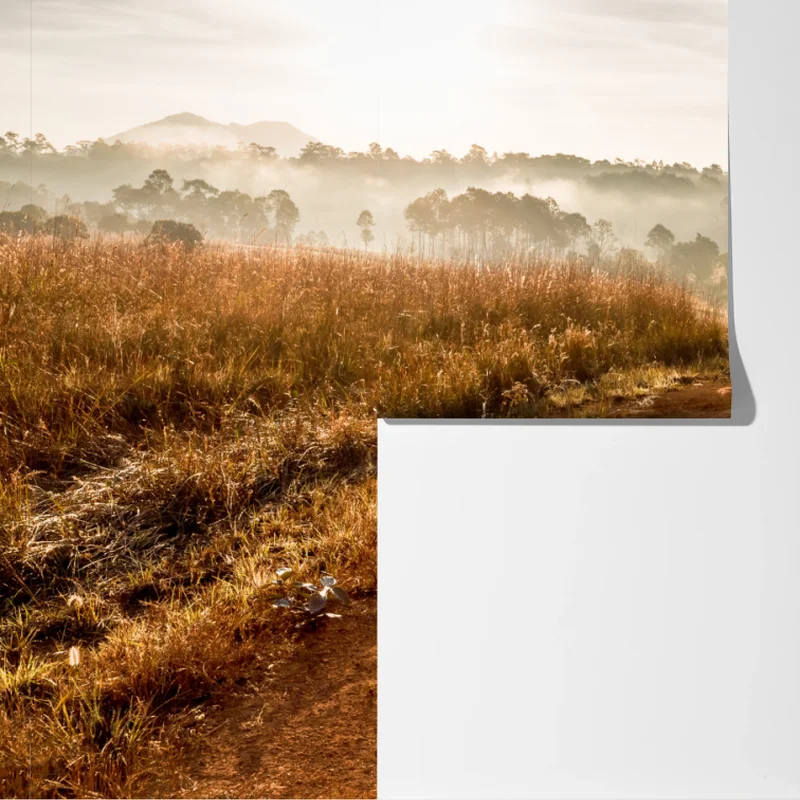 Fototapete morgendlicher feldweg in Thung Salaeng Luang Fototapete morgendlicher feldweg in Thung Salaeng Luang