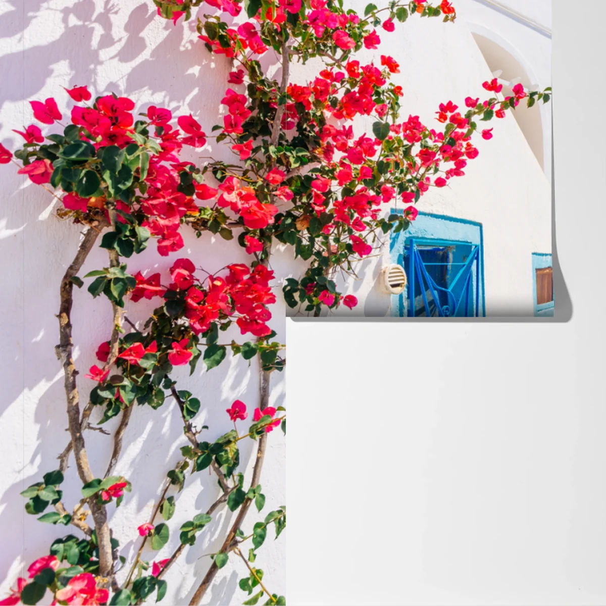 Fototapete Santorini weiße gasse mit bougainvillea Fototapete Santorini weiße gasse mit bougainvillea