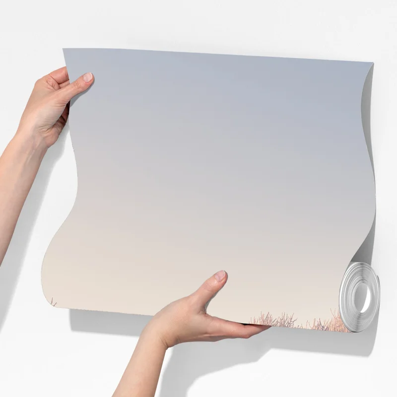 Fototapete raureifbedeckte bäume bei sonnenaufgang Fototapete raureifbedeckte bäume bei sonnenaufgang