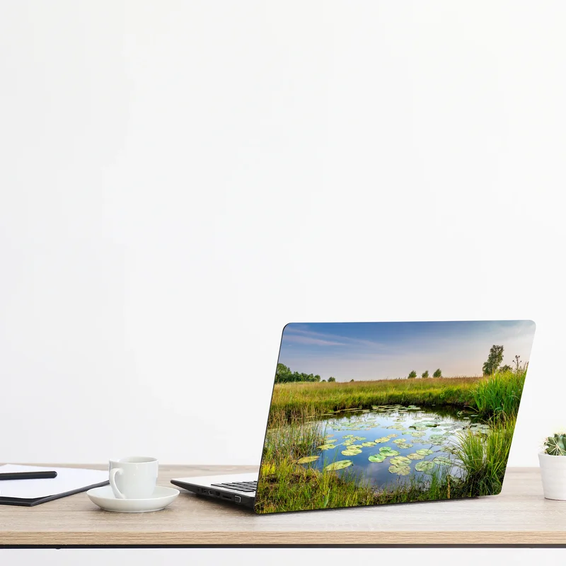 Naklejka na laptopa spokojny staw z grążelami na łące