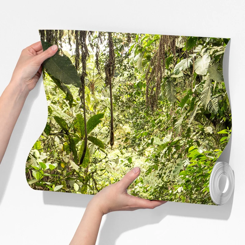 Fototapete pfad durch üppigen dschungel Fototapete pfad durch üppigen dschungel