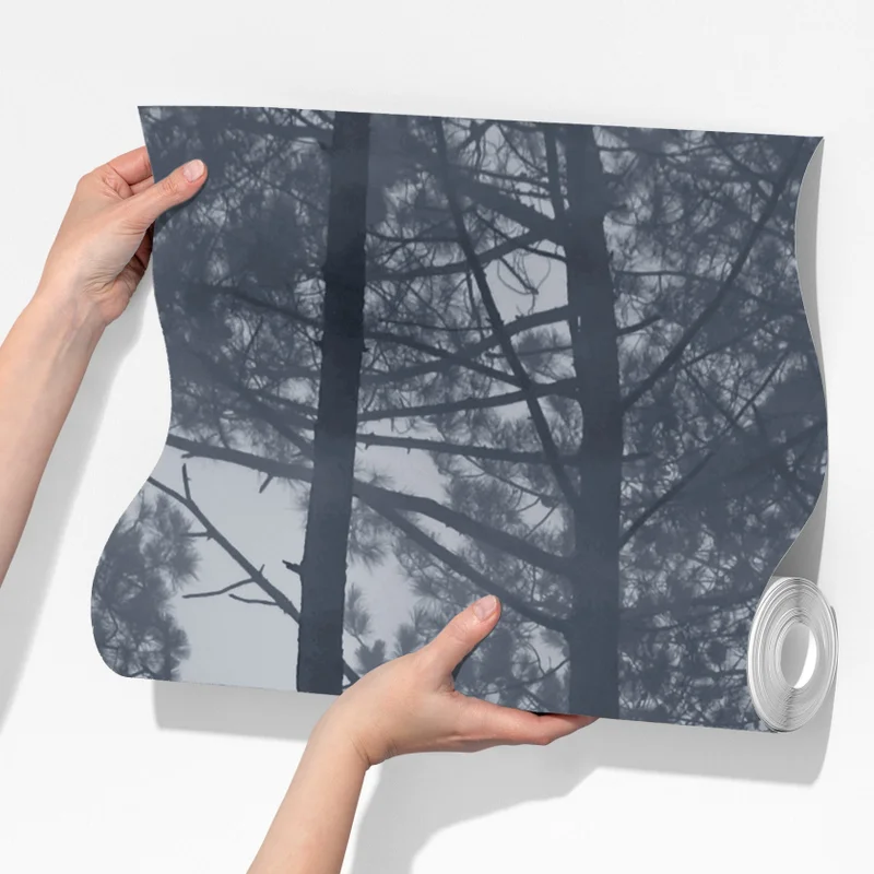 Fototapete nebliger kiefernwald bei nacht Fototapete nebliger kiefernwald bei nacht