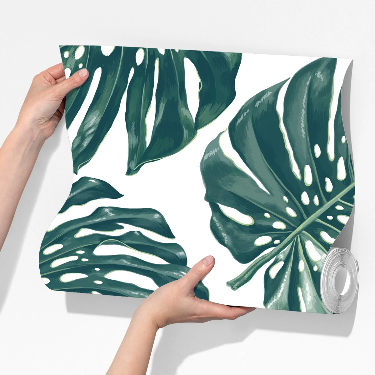 Fototapete monstera blatt botanisches muster Fototapete monstera blatt botanisches muster