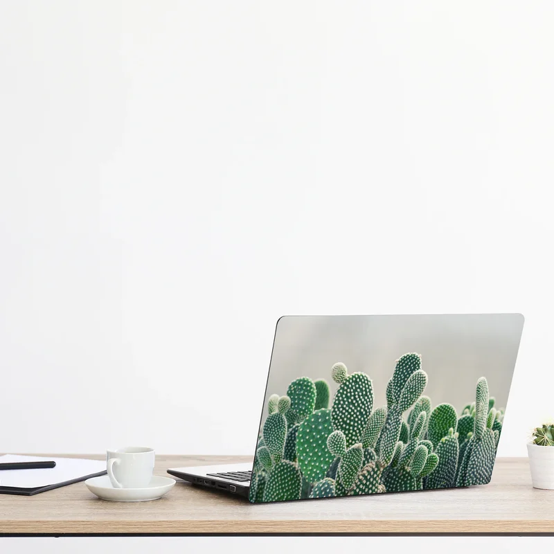 Naklejka na laptopa zbliżenie kaktusa opuncji Naklejka na laptopa zbliżenie kaktusa opuncji