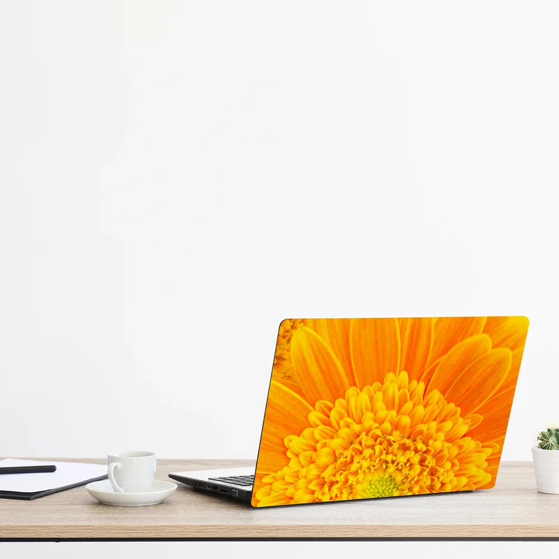Laptop-Aufkleber intensive orange gerbera nahaufnahme