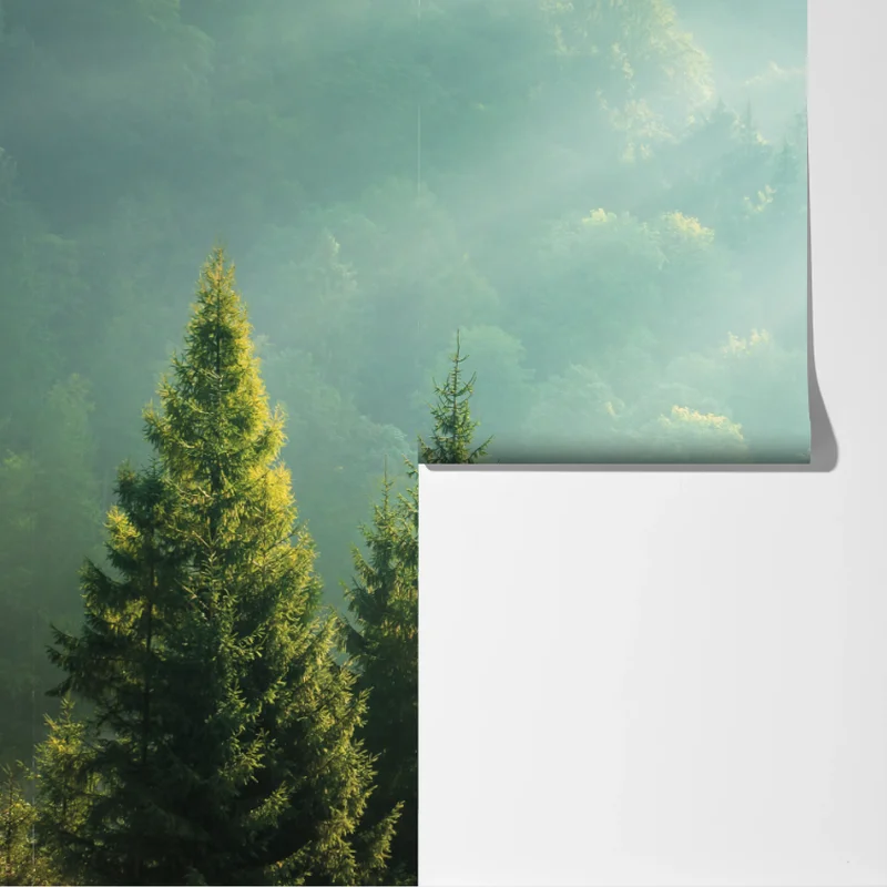 Fototapete neblige fichtenspitzen im morgenlicht Fototapete neblige fichtenspitzen im morgenlicht