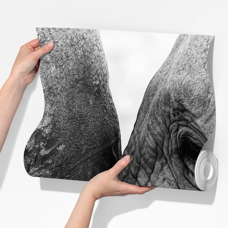 Fototapeta uścisk słoni czarno-biały portret Fototapeta uścisk słoni czarno-biały portret