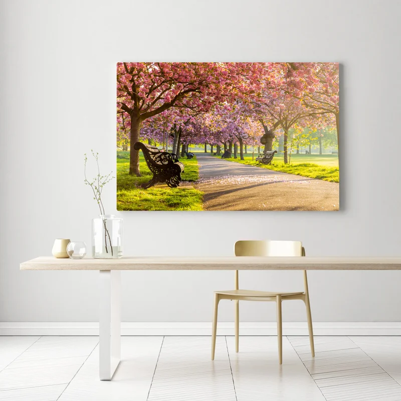 Leinwandbild kirschblütenallee im frühling Leinwandbild kirschblütenallee im frühling