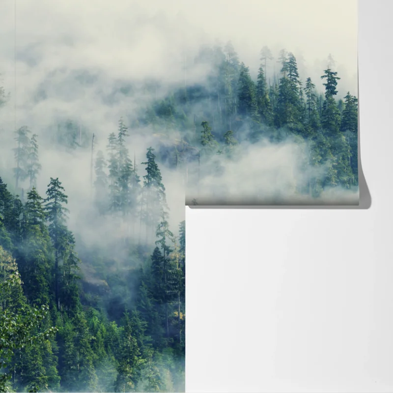 Fototapete nebliger nadelwald Fototapete nebliger nadelwald