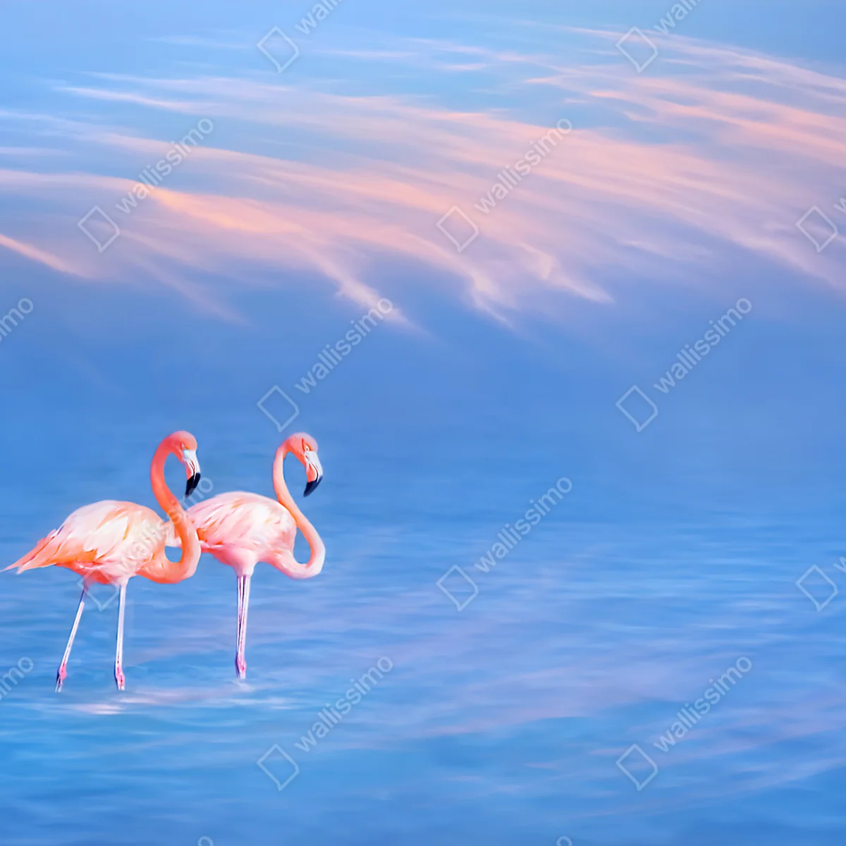 Repositionierbarer Aufkleber rosa flamingos auf pastellfarbenem wasser Repositionierbarer Aufkleber rosa flamingos auf pastellfarbenem wasser