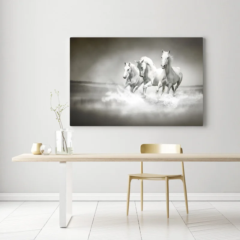 Leinwandbild drei weiße pferde im galopp durch wasser Leinwandbild drei weiße pferde im galopp durch wasser