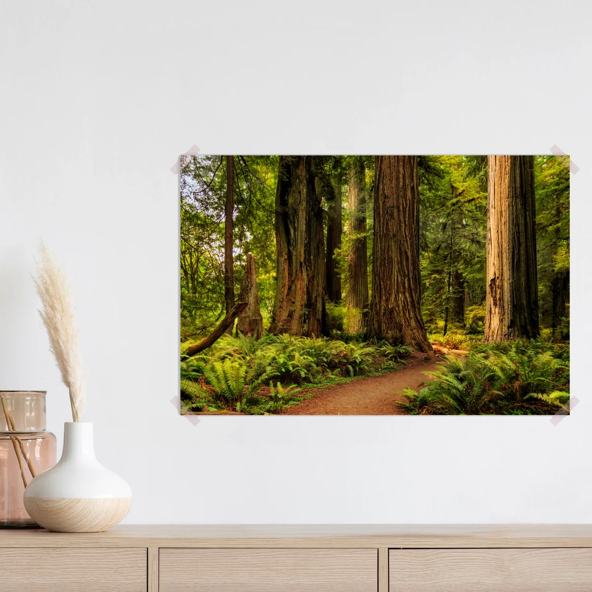 Poster Kalifornien mammutbäume waldweg Poster Kalifornien mammutbäume waldweg